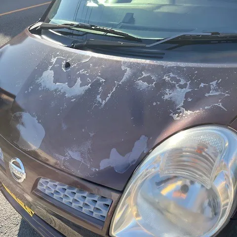 今回は、日産モコのボンネットの塗装劣化を修理しました。